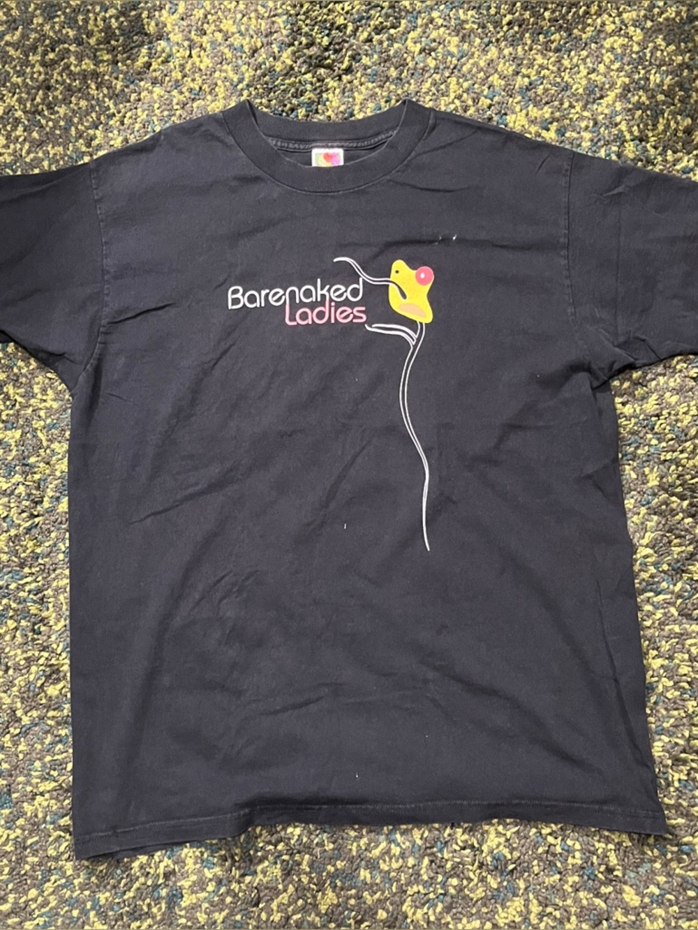 Fruit of The Loom Vintage Barenaked Ladies T (XL)